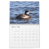 Vogels van New Jersey Kalender (Feb 2026)