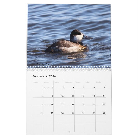 Vogels van New Jersey Kalender (Feb 2026)