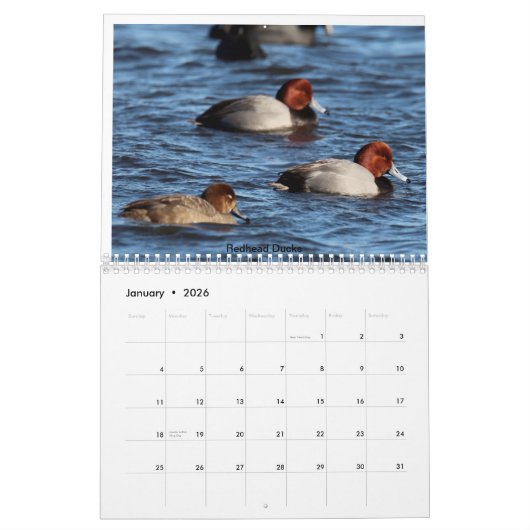 Vogels van New Jersey Kalender (Jan 2026)