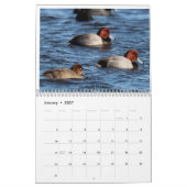 Vogels van New Jersey Kalender (Jan 2027)