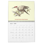 Vogels van New York Lithografen Kalender (Mar 2027)