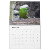 vogels van Nieuw-Zeeland Kalender (Mar 2026)
