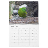 vogels van Nieuw-Zeeland Kalender (Mar 2027)