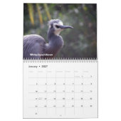 vogels van Nieuw-Zeeland Kalender (Jan 2027)