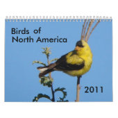 Vogels van Noord-Amerika 2011 Kalender (Hoes)