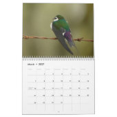 Vogels van Noord-Amerika 2011 Kalender (Mar 2027)