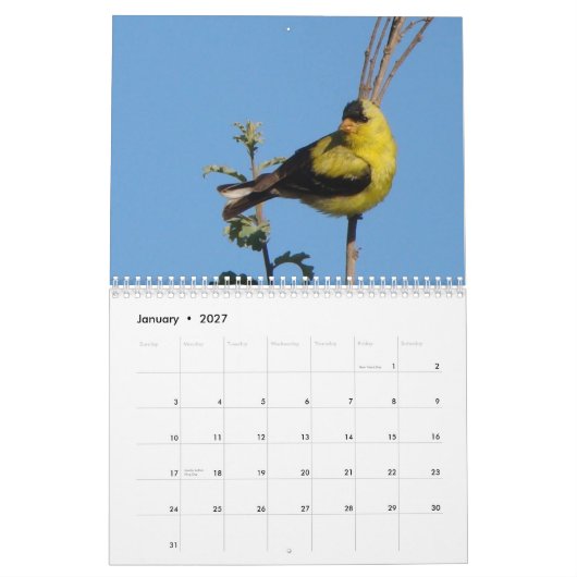 Vogels van Noord-Amerika 2011 Kalender (Jan 2027)
