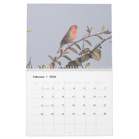 Vogels van Noord-Amerika 2011 Kalender (Feb 2026)