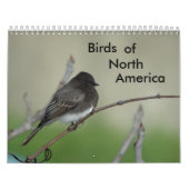 Vogels van Noord-Amerika 2011 Kalender (Hoes)