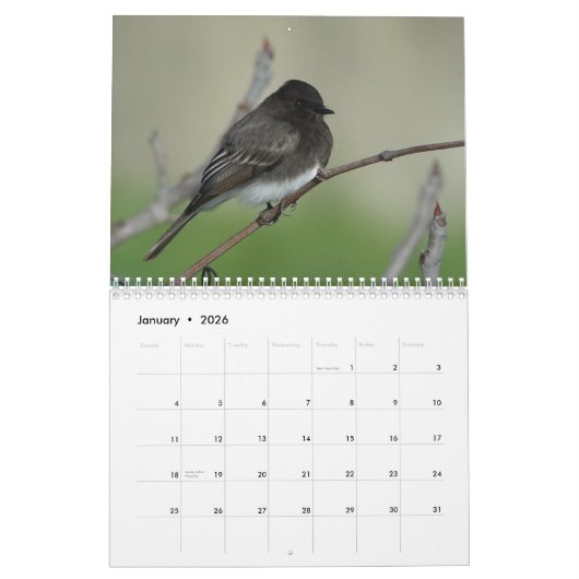 Vogels van Noord-Amerika 2011 Kalender (Jan 2026)