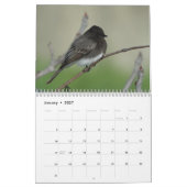 Vogels van Noord-Amerika 2011 Kalender (Jan 2027)