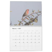 Vogels van Noord-Amerika 2011 Kalender (Feb 2027)