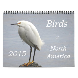 Vogels van Noord-Amerika - 2015 Kalender