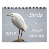 Vogels van Noord-Amerika - 2015 Kalender (Hoes)