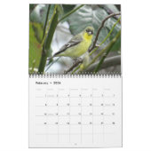 Vogels van Noord-Amerika - 2015 Kalender (Feb 2026)