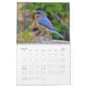Vogels van Noord-Amerika Kalender (Mar 2027)