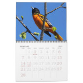 Vogels van Noord-Amerika Kalender (Feb 2027)