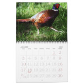 Vogels van Noord-Amerika Kalender (Jan 2027)