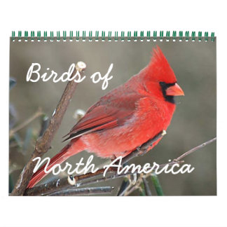 Vogels van Noord-Amerika Kalender