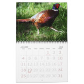 Vogels van Noord-Amerika Kalender (Jan 2026)