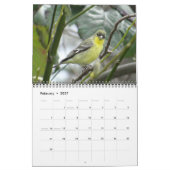 Vogels van Noord-Amerika Kalender (Feb 2027)