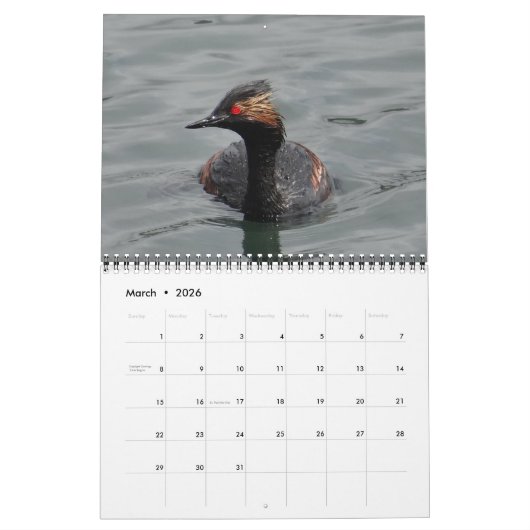 Vogels van Noord-Amerika Kalender (Mar 2026)