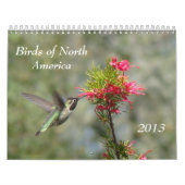 Vogels van Noord-Amerika Kalender (Hoes)