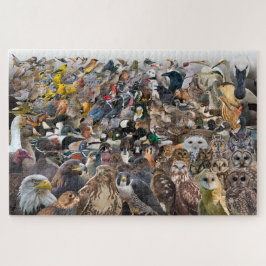 Vogels van Noord-Amerika Legpuzzel