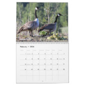 Vogels van Noord-Idaho Kalender (Feb 2026)