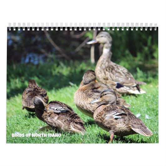 Vogels van Noord-Idaho Kalender (Hoes)