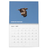 Vogels van Noord-Idaho Kalender (Mar 2027)