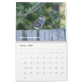 Vogels van Noord-Idaho Kalender (Jan 2027)