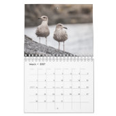 Vogels van Noorwegen 2026 Kalender (Mar 2027)