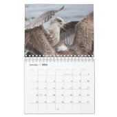 Vogels van Noorwegen 2026 Kalender (Jan 2026)