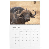 Vogels van Oost-Afrika 2026 kalender (Feb 2027)