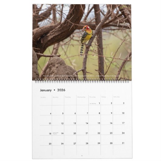 Vogels van Oost-Afrika 2026 kalender (Jan 2026)