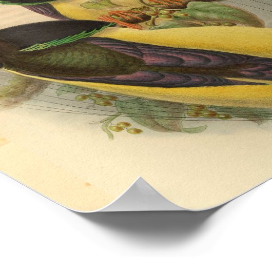 Vogels van Paradise Bird Green Yellow Print (Hoek)