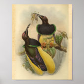 Vogels van Paradise Bird Green Yellow Print (Voorkant)