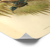 Vogels van Paradise Blue Green Color  Print (Hoek)