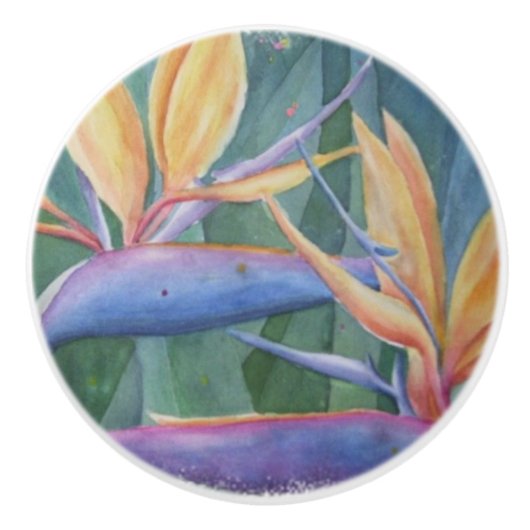 VOGELS VAN PARADISE CERAMIC KNOB KERAMISCHE KNOP (Voorkant)