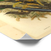 Vogels van Paradise Green Red  Print (Hoek)