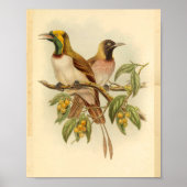 Vogels van Paradise Green Yellow  Print (Voorkant)