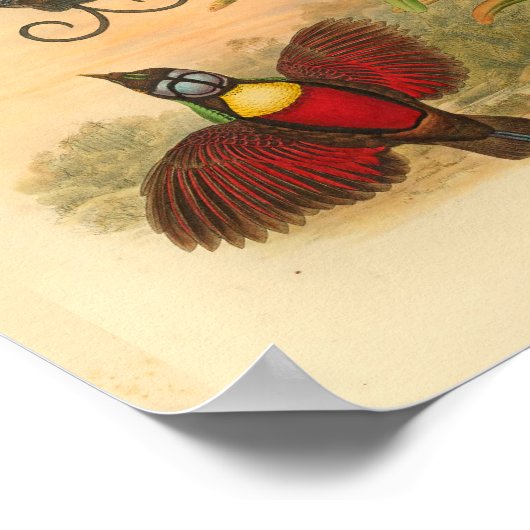 Vogels van Paradise Red Green  Print (Hoek)
