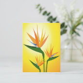 VOGELS VAN PARADISE STROOMONTWERP BRIEFKAART (Staand voorkant)