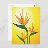 VOGELS VAN PARADISE STROOMONTWERP BRIEFKAART (Voorkant / Achterkant)