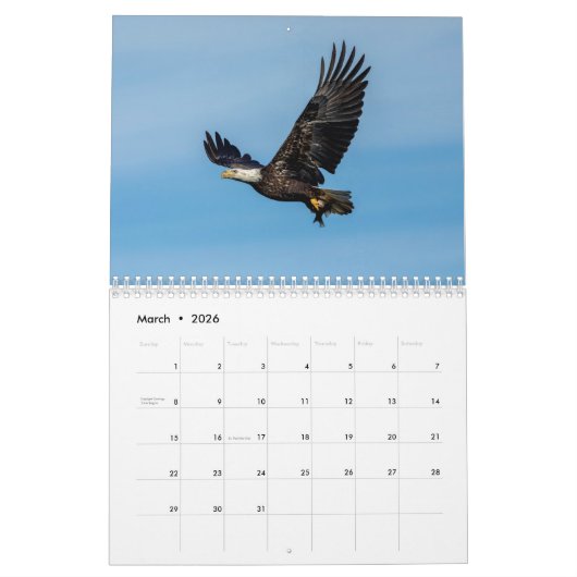 Vogels van Prey 2026 Kalender (Mar 2026)