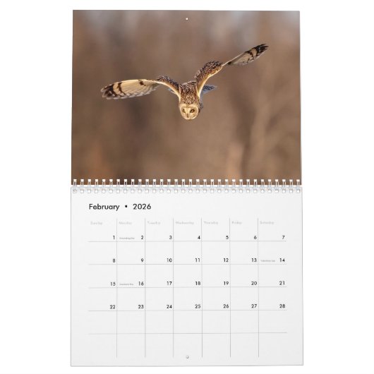 Vogels van Prey 2026 Kalender (Feb 2026)