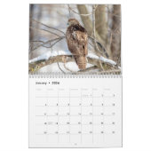 Vogels van Prey 2026 Kalender (Jan 2026)