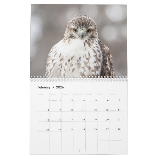 Vogels van Prey 2026 Kalender (Feb 2026)