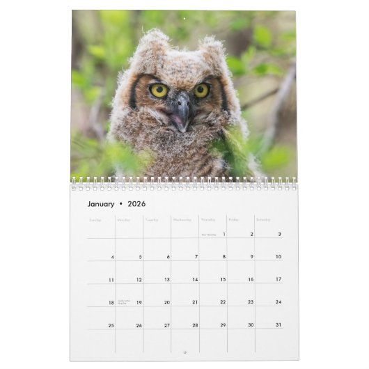 Vogels van Prey 2026 Kalender (Jan 2026)